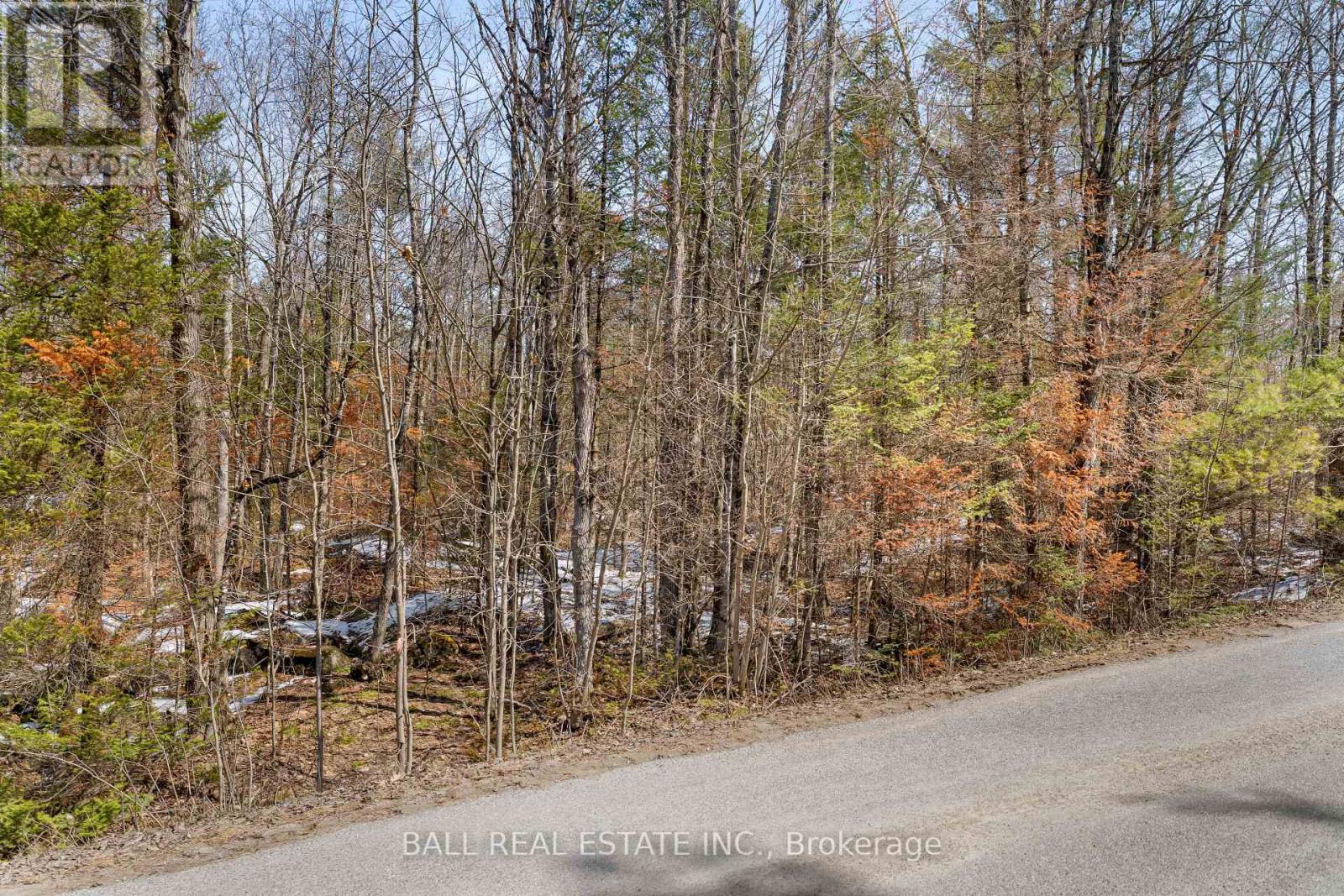 Lot 19 Edwina Drive, Trent Lakes, Ontario K0M 1A0 - Photo 8 - X12981542