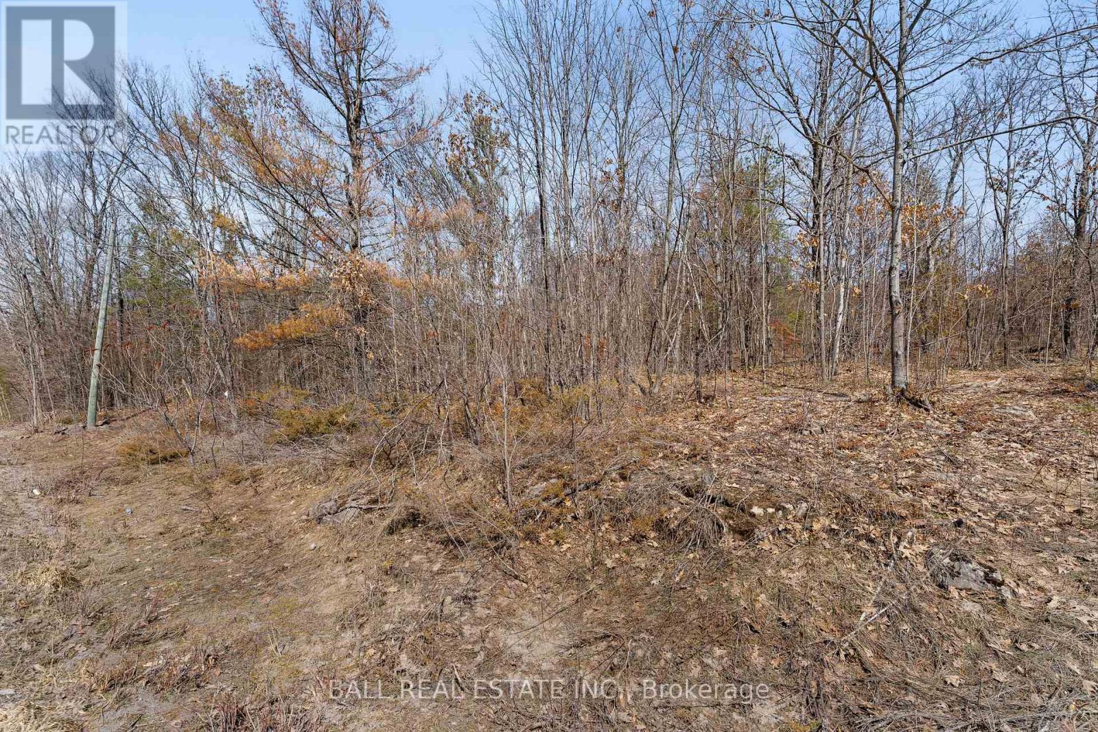 Lot 19 Edwina Drive, Trent Lakes, Ontario K0M 1A0 - Photo 9 - X12981542