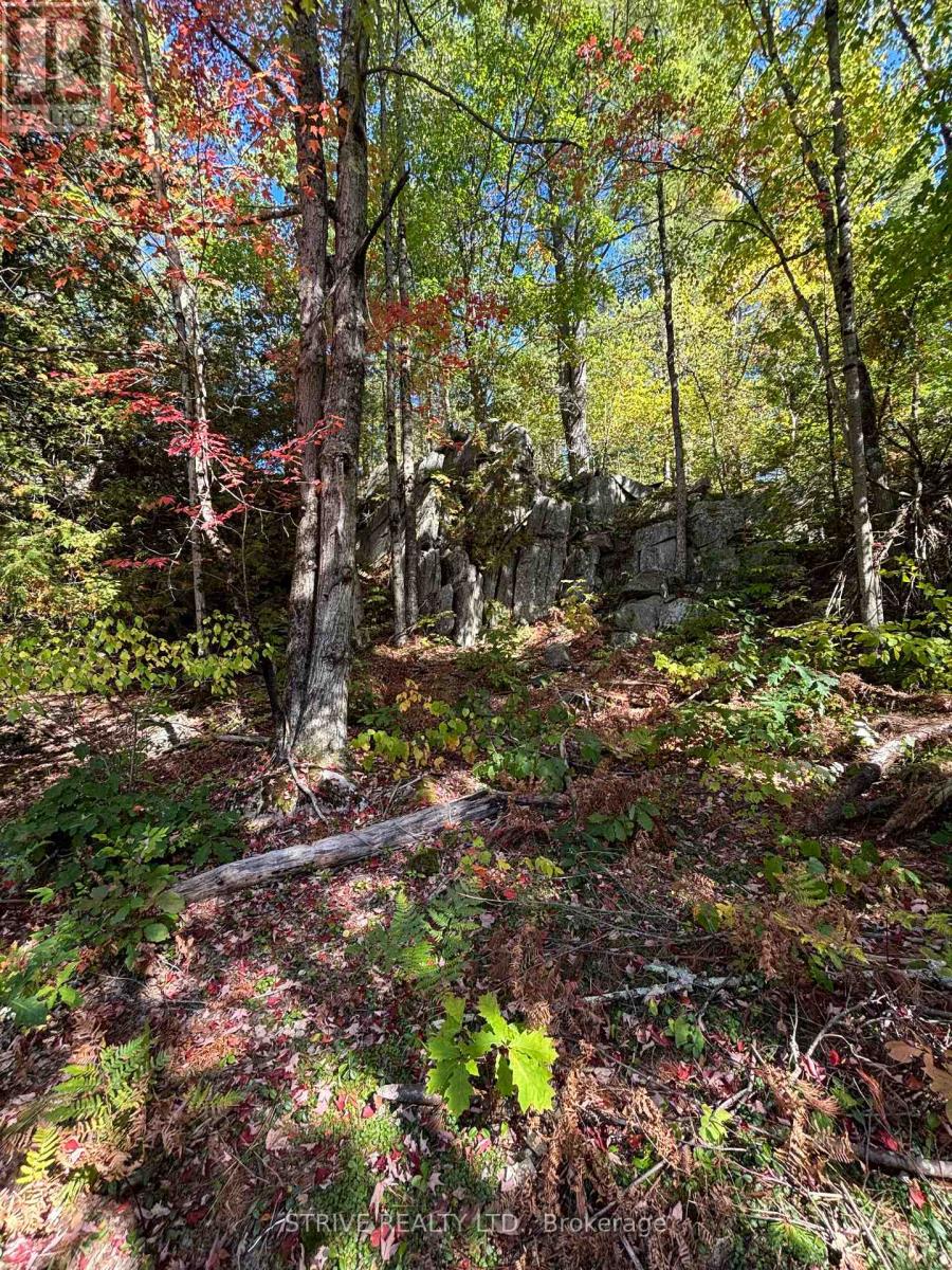 206i Kehoe Lane, Tweed, Ontario K0K 3J0 - Photo 11 - X12981616