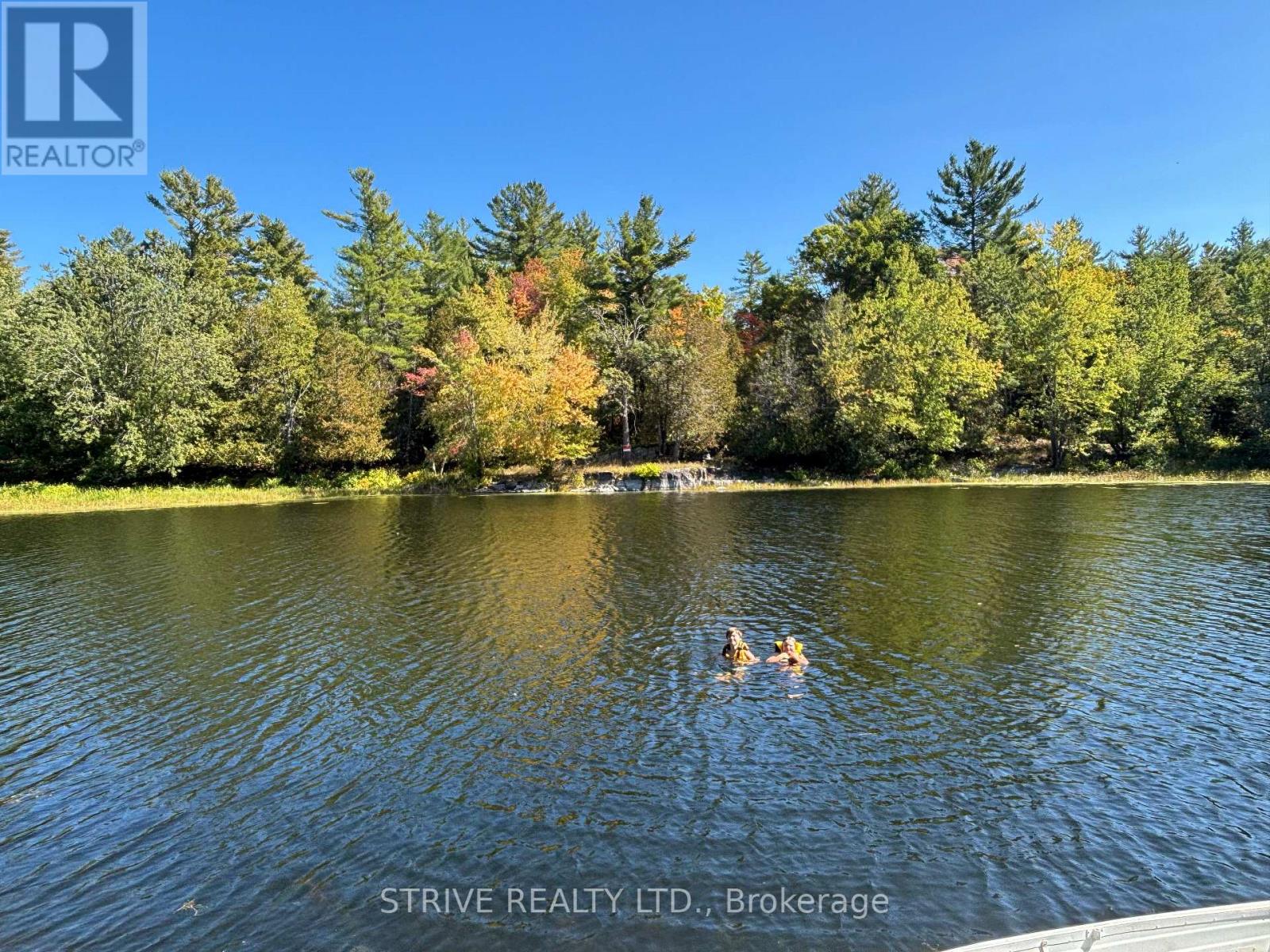 206i Kehoe Lane, Tweed, Ontario K0K 3J0 - Photo 13 - X12981616