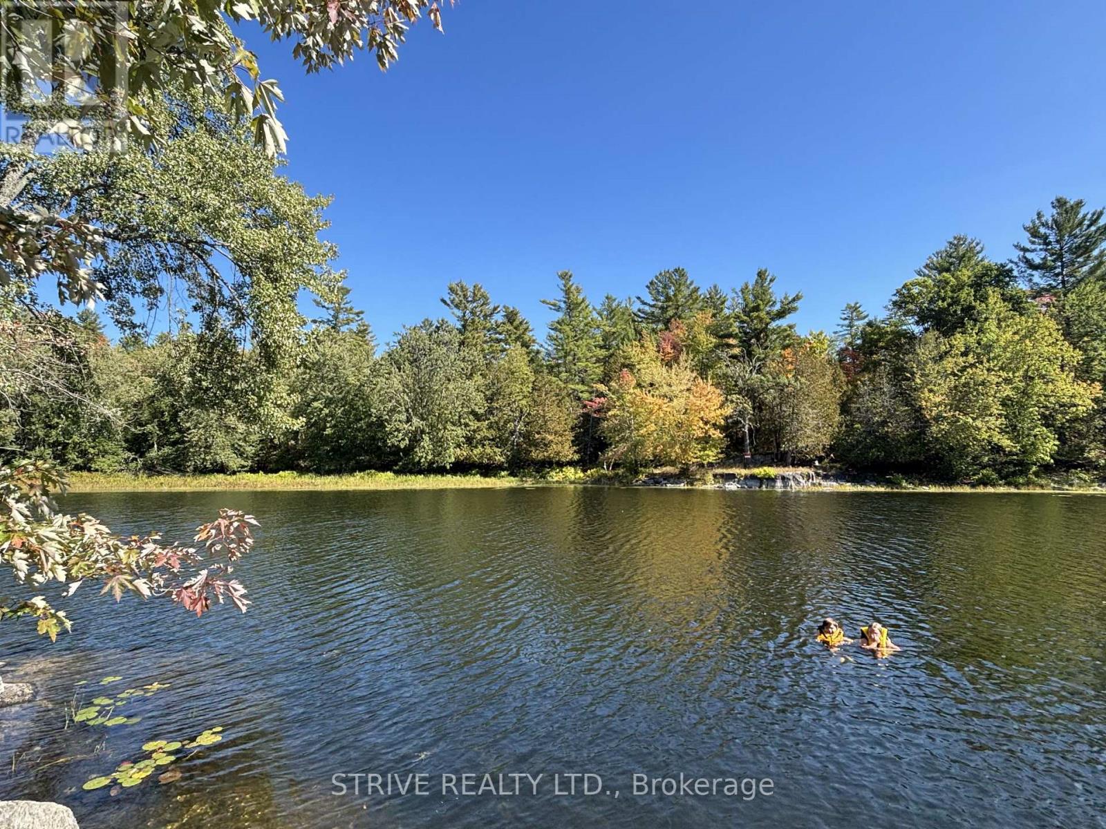 206i Kehoe Lane, Tweed, Ontario K0K 3J0 - Photo 16 - X12981616