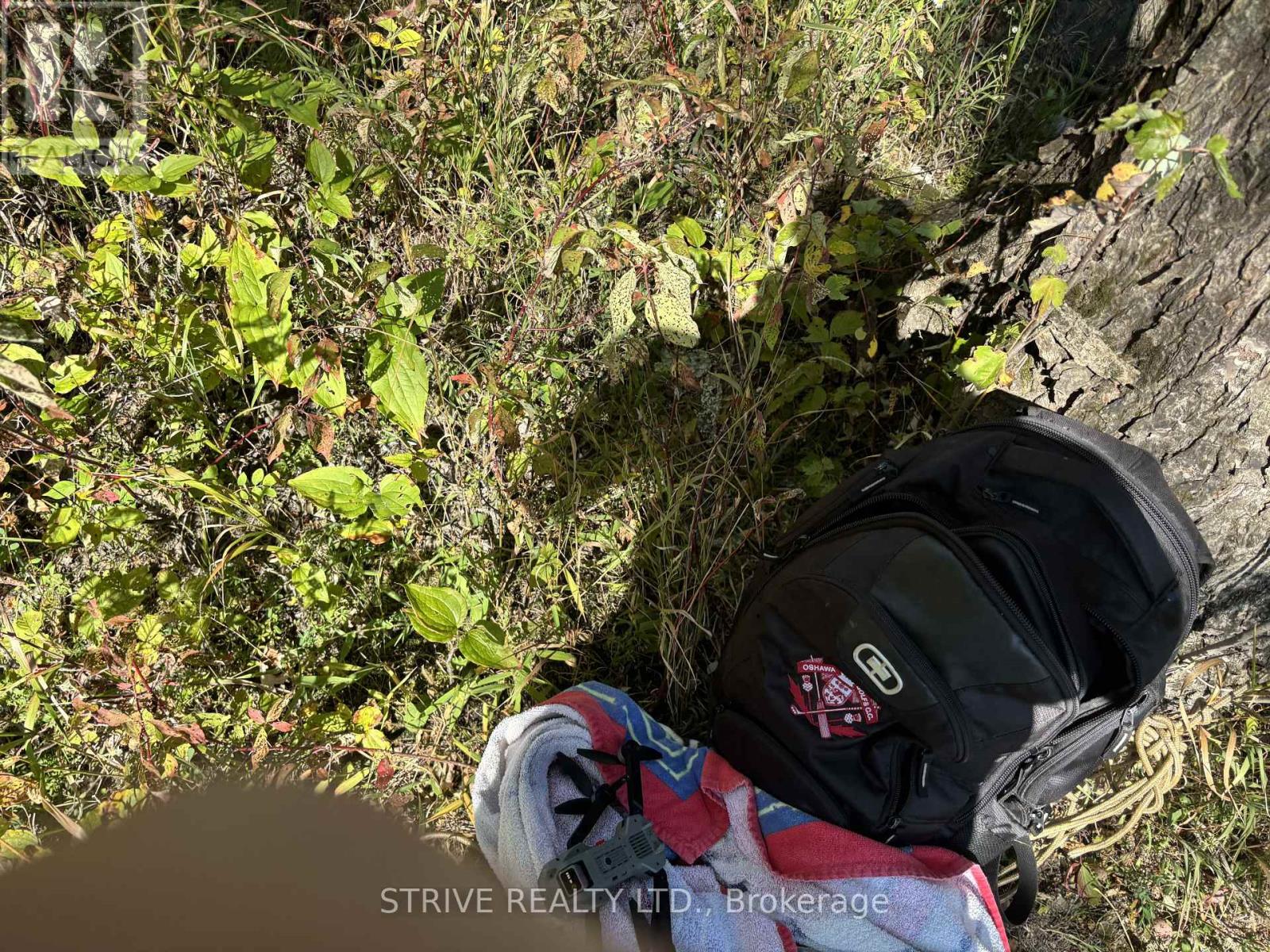 206i Kehoe Lane, Tweed, Ontario K0K 3J0 - Photo 23 - X12981616