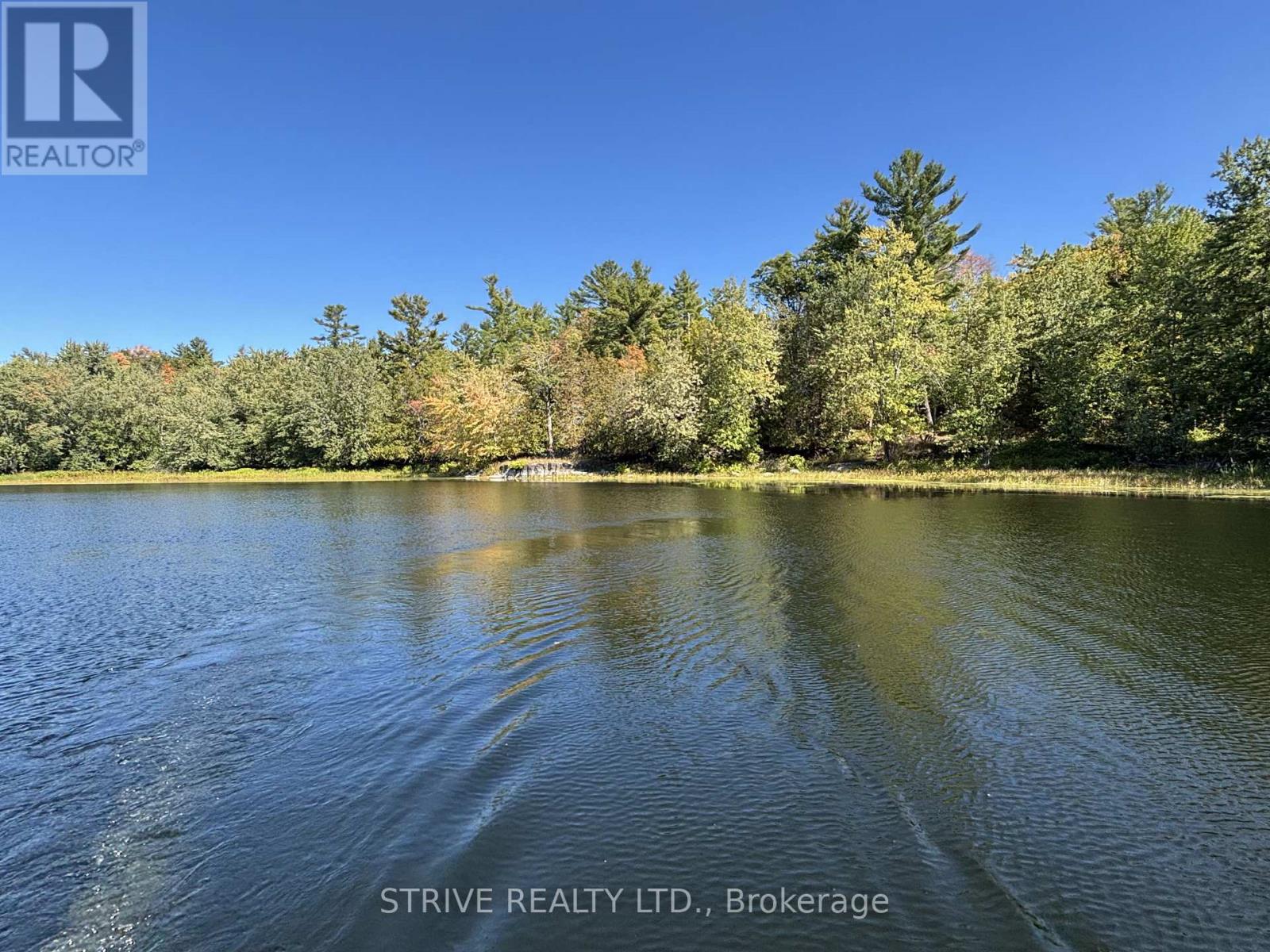 206i Kehoe Lane, Tweed, Ontario K0K 3J0 - Photo 28 - X12981616