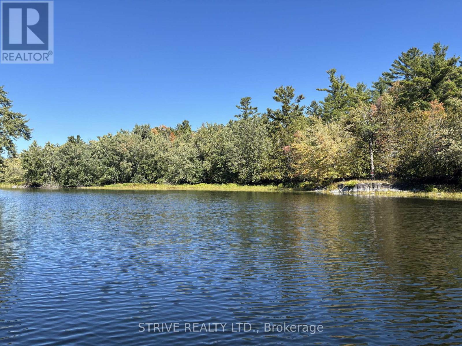 206i Kehoe Lane, Tweed, Ontario K0K 3J0 - Photo 4 - X12981616