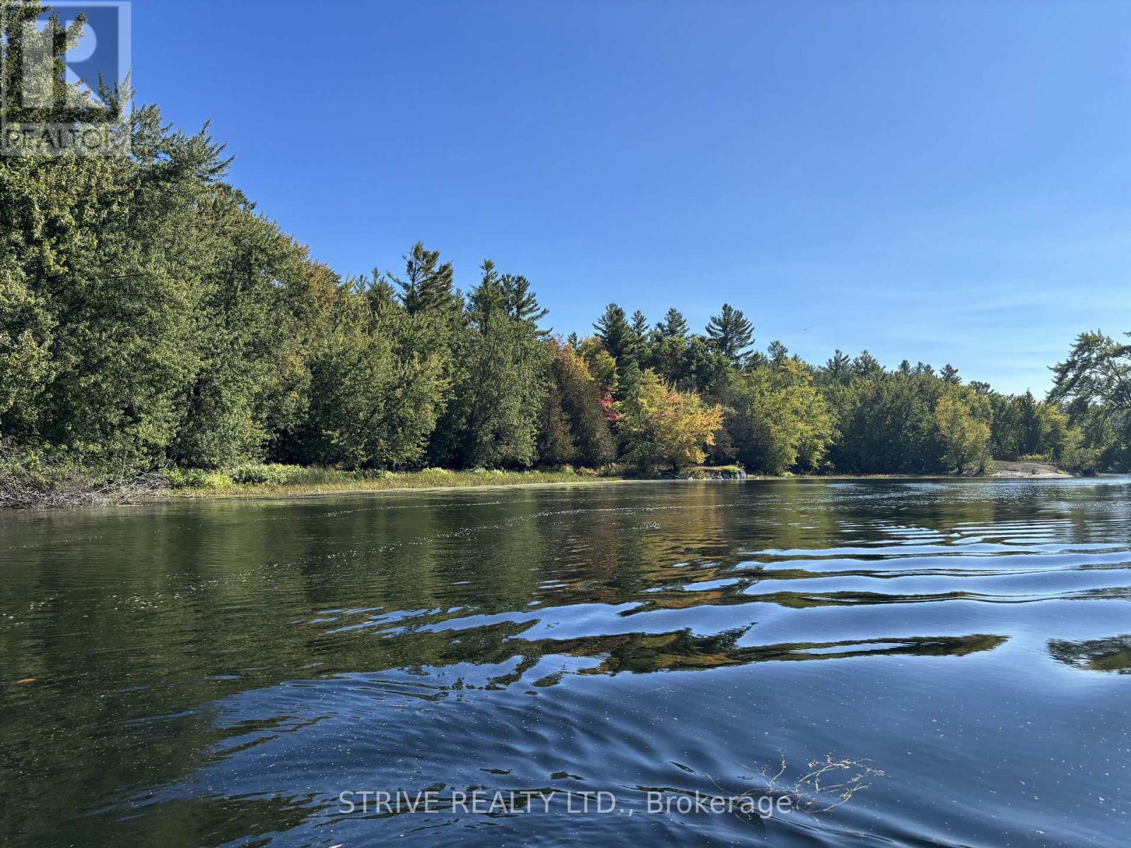 206i Kehoe Lane, Tweed, Ontario K0K 3J0 - Photo 7 - X12981616