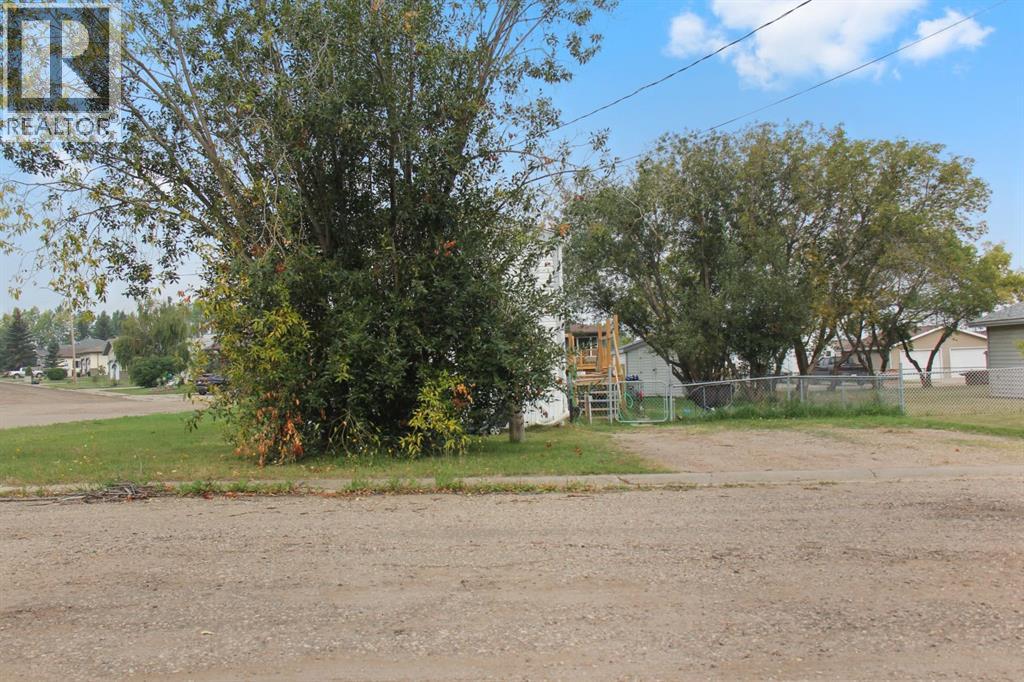 4803 52 Street, Lougheed, Alberta  T0B 0B9 - Photo 5 - A2254779