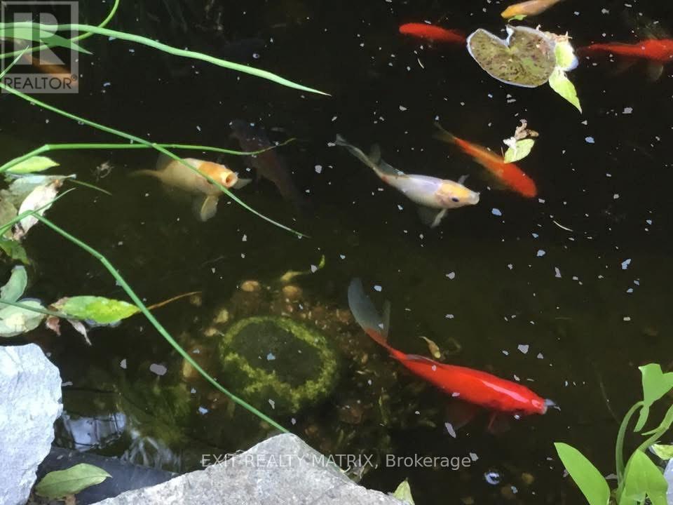 11 Promenade Boulevard, Russell, Ontario  K0A 1W1 - Photo 47 - X12981348