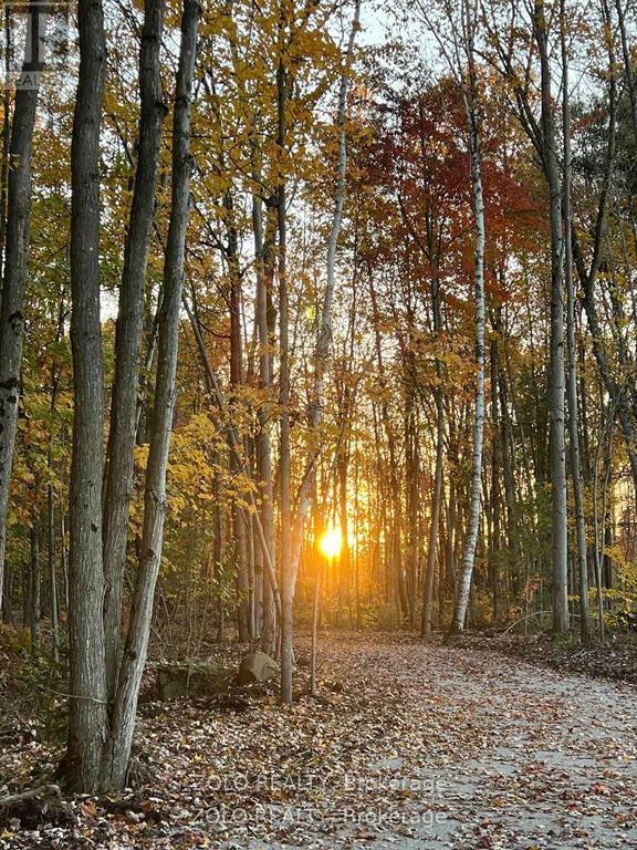 3172 Searidge Street, Severn (West Shore), Ontario  L3V 8R1 - Photo 25 - S12981510