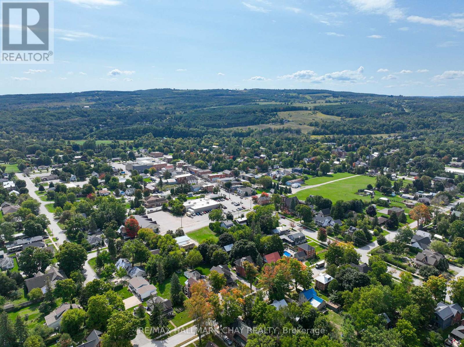 213 Mary Street, Clearview (Creemore), Ontario  L0M 1G0 - Photo 46 - S12981524