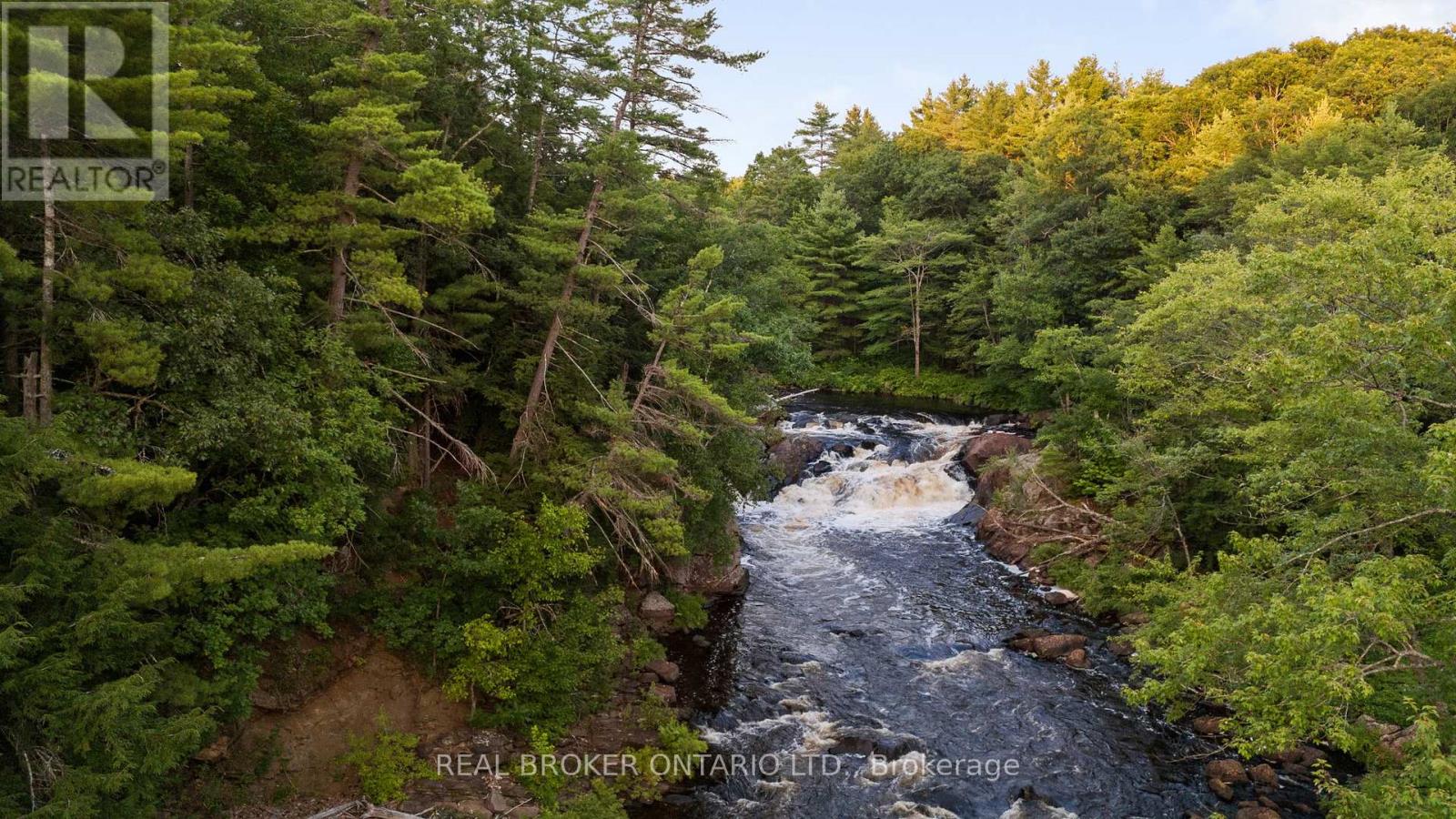 1401 Coopers Falls Road, Ramara, Ontario  L0K 2B0 - Photo 1 - S12981630