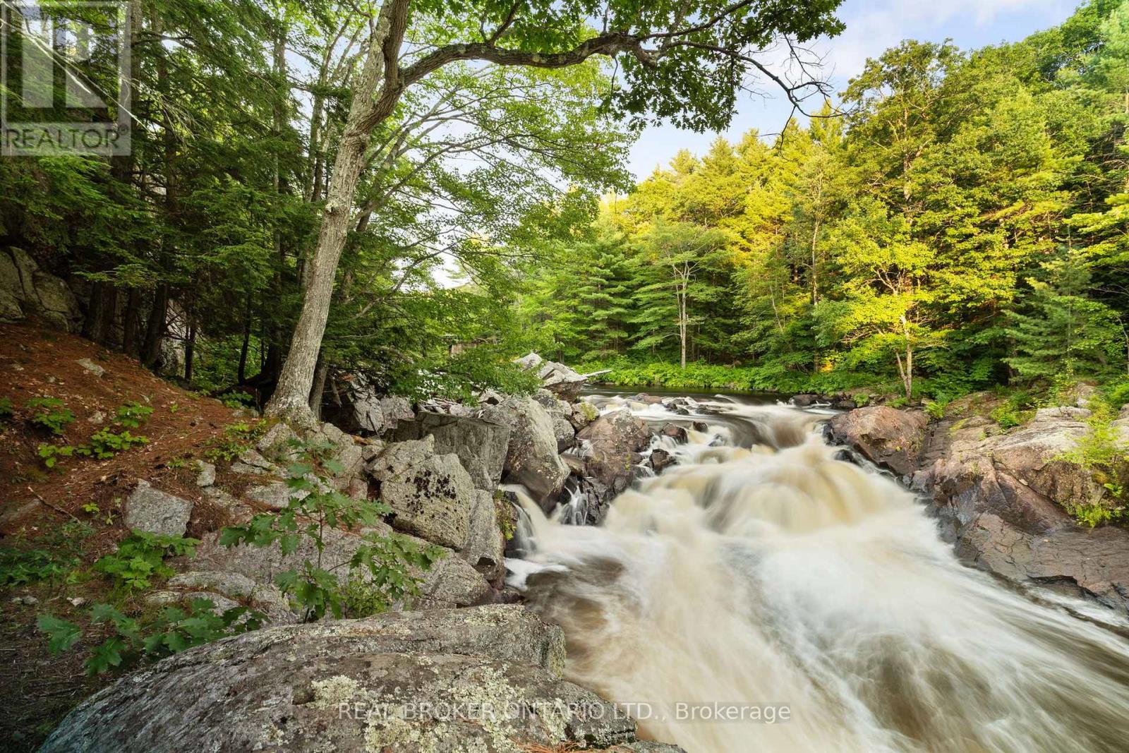 1401 Coopers Falls Road, Ramara, Ontario  L0K 2B0 - Photo 12 - S12981630