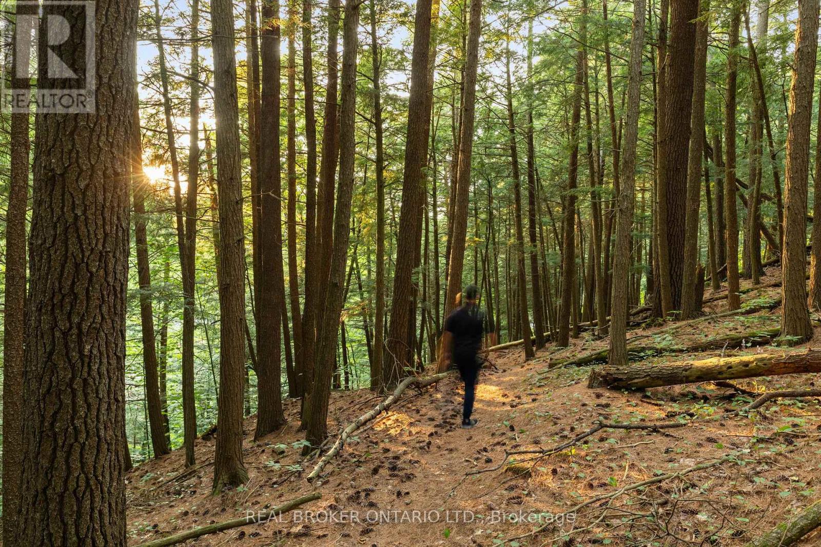 1401 Coopers Falls Road, Ramara, Ontario  L0K 2B0 - Photo 13 - S12981630