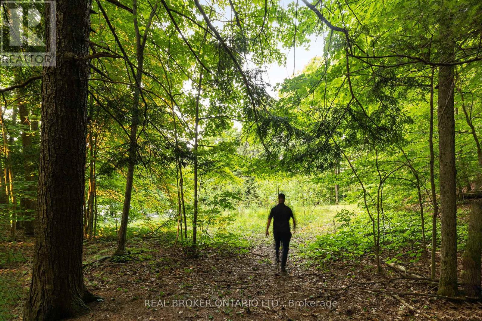 1401 Coopers Falls Road, Ramara, Ontario  L0K 2B0 - Photo 16 - S12981630