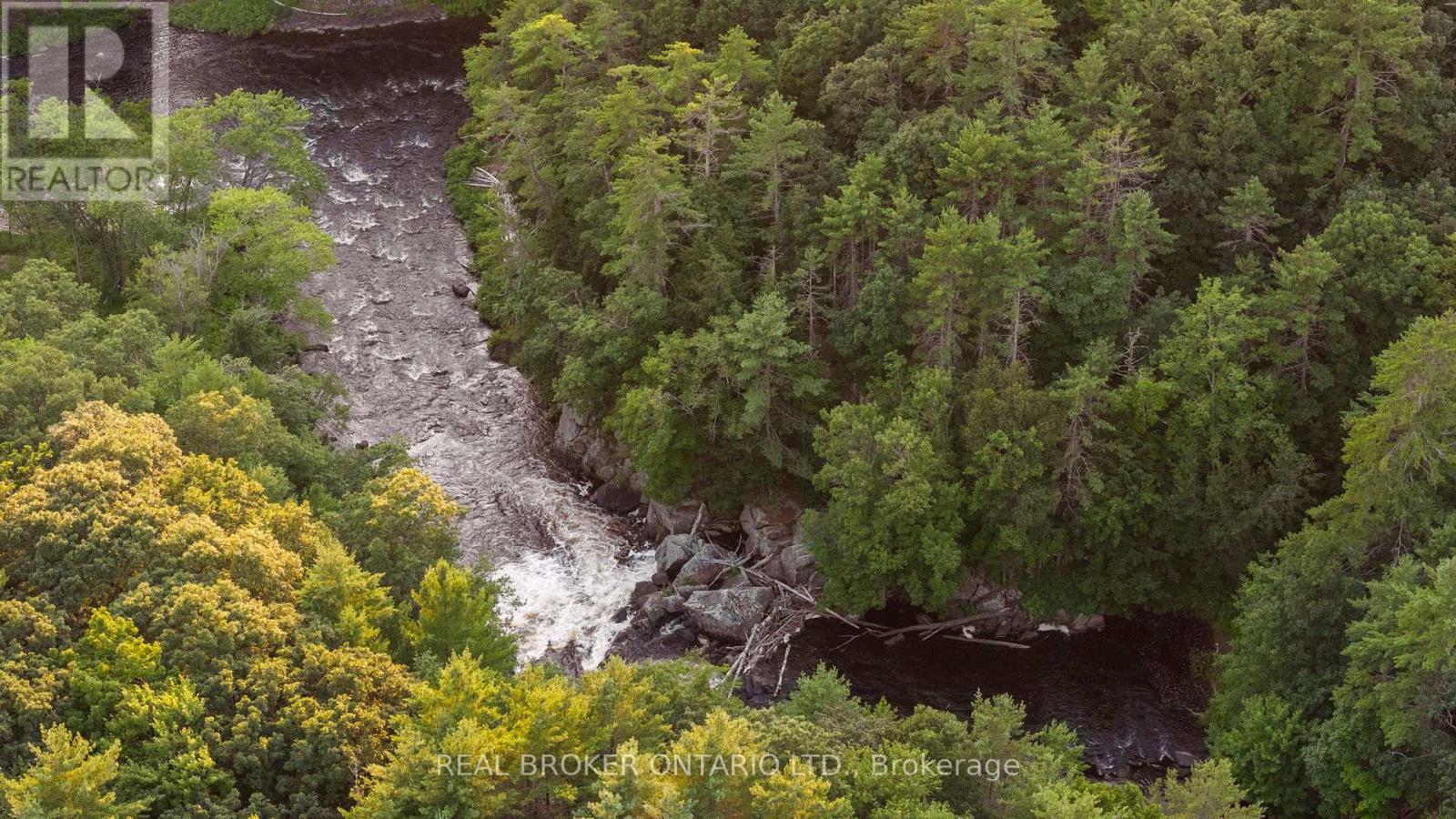 1401 Coopers Falls Road, Ramara, Ontario  L0K 2B0 - Photo 2 - S12981630