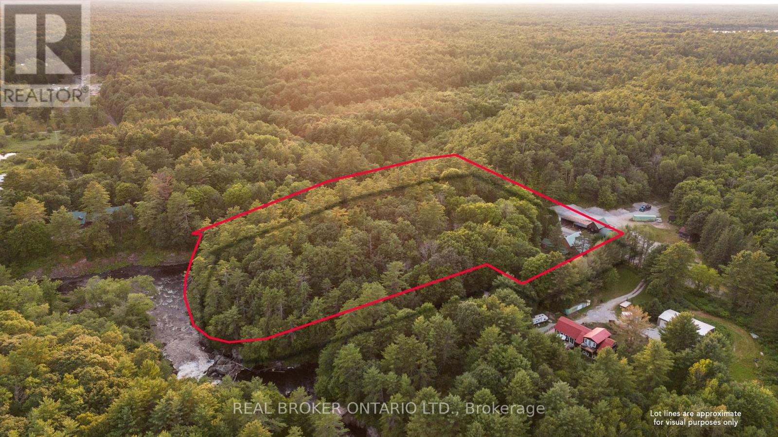 1401 Coopers Falls Road, Ramara, Ontario  L0K 2B0 - Photo 5 - S12981630