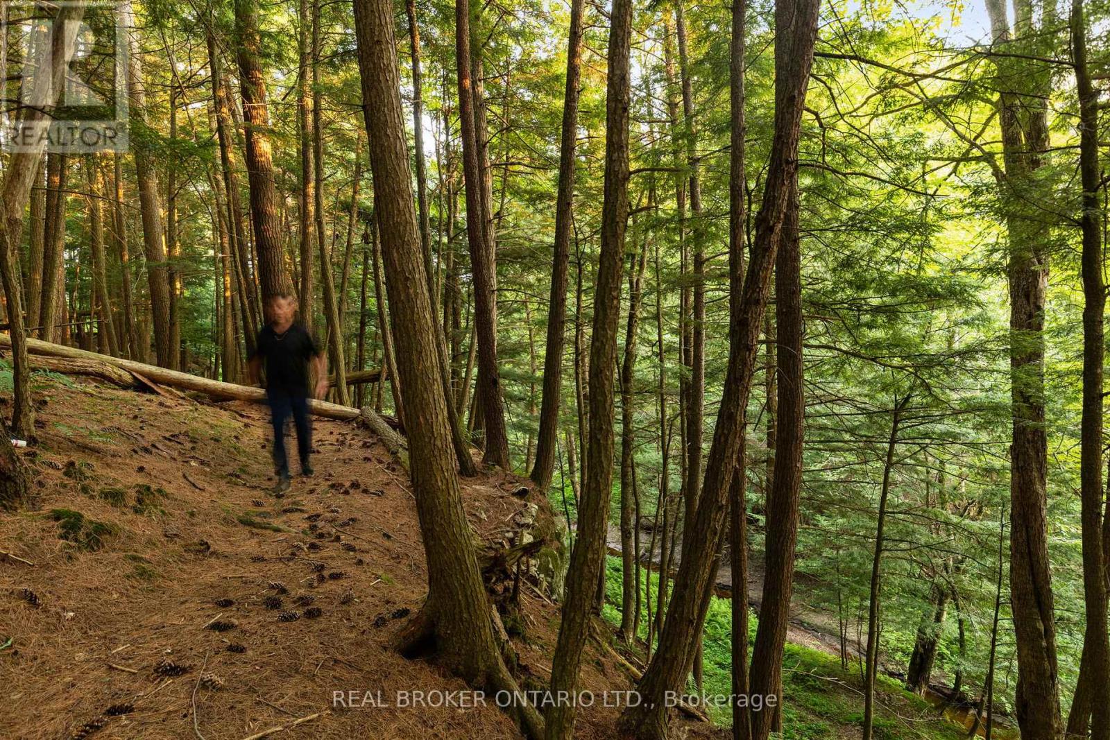 1401 Coopers Falls Road, Ramara, Ontario  L0K 2B0 - Photo 9 - S12981630