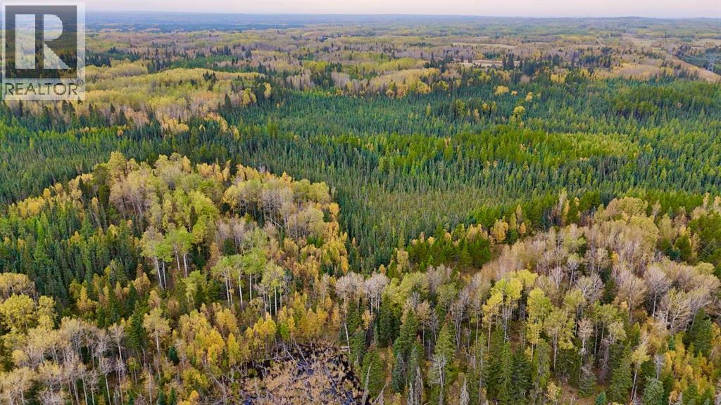 454084 Highway 20, Rural Wetaskiwin No. 10, Alberta  T0C 0M0 - Photo 49 - A2291332