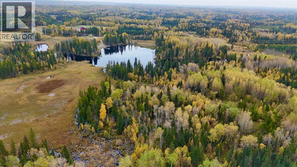 454084 Highway 20, Rural Wetaskiwin No. 10, Alberta  T0C 0M0 - Photo 33 - A2291332