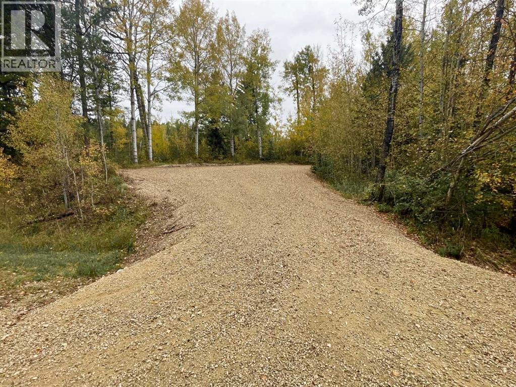 454084 Highway 20, Rural Wetaskiwin No. 10, Alberta  T0C 0M0 - Photo 41 - A2291332