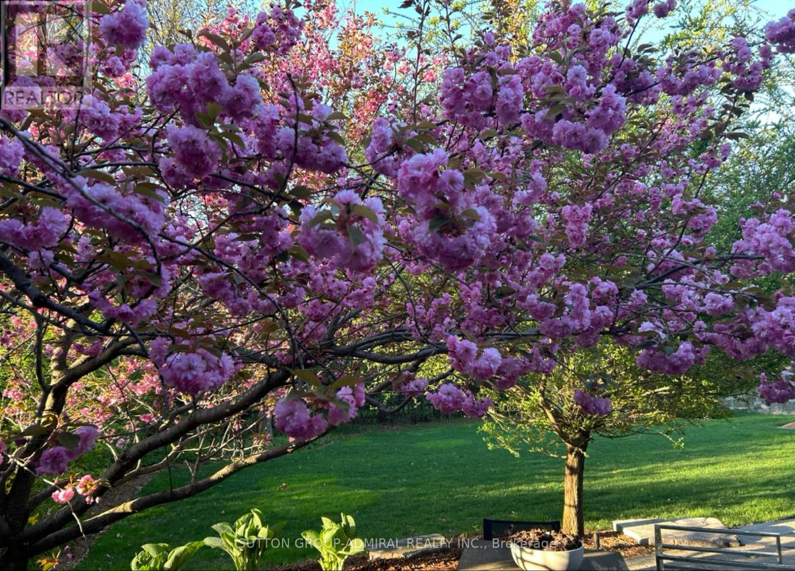 238 Mill Street, Richmond Hill, Ontario  L4C 4B3 - Photo 38 - N12974818