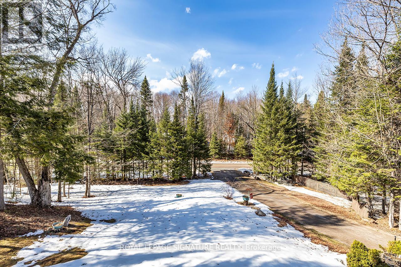 1928 Irondale Road, Highlands East, Ontario  K0M 1X0 - Photo 21 - X12981306