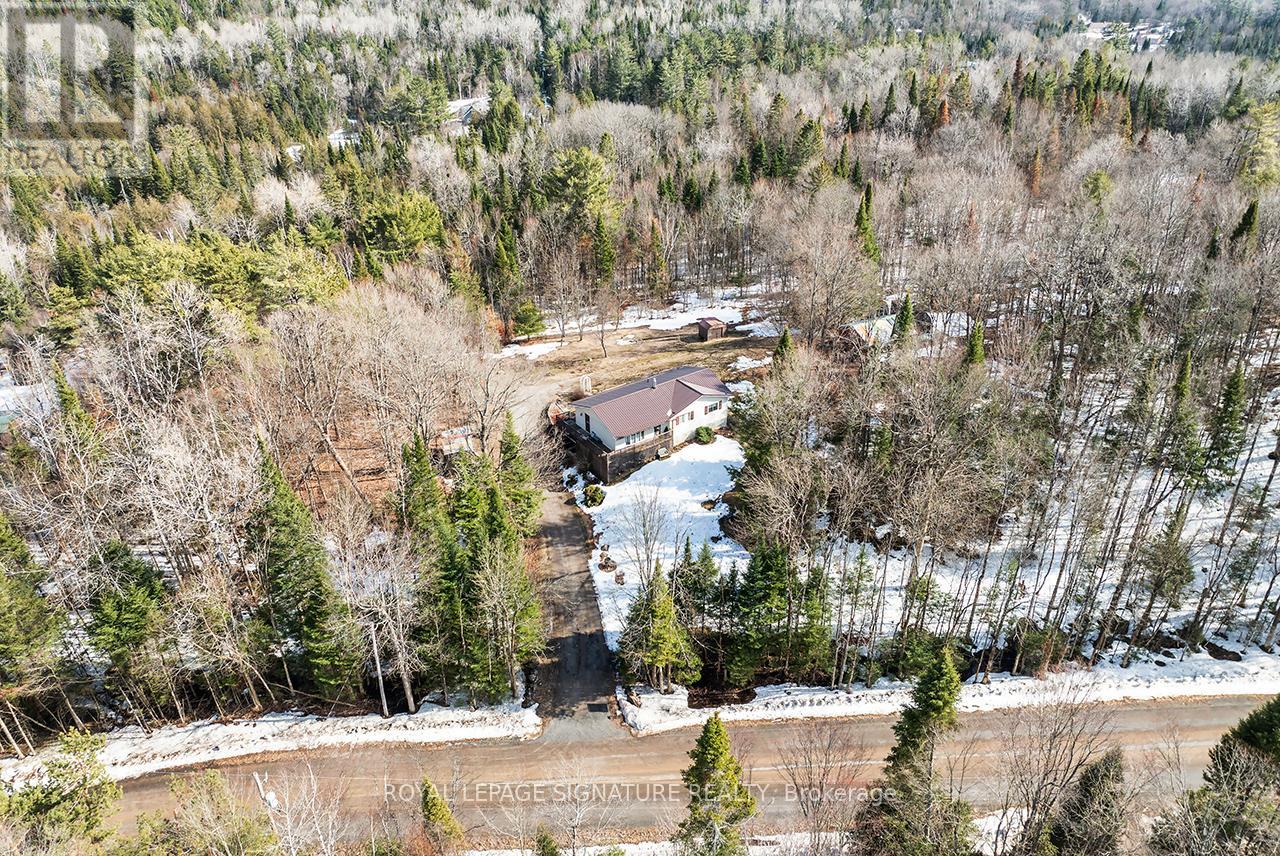 1928 Irondale Road, Highlands East, Ontario  K0M 1X0 - Photo 39 - X12981306