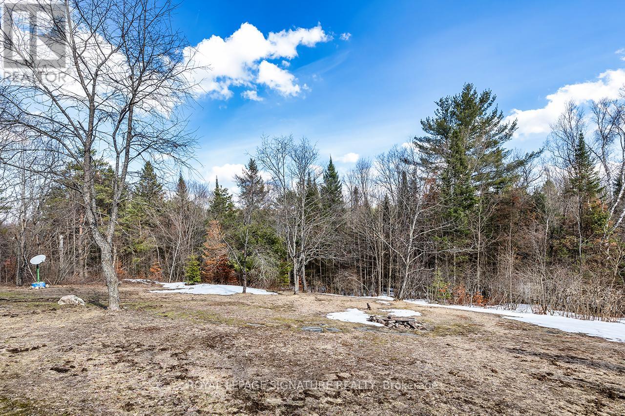 1928 Irondale Road, Highlands East, Ontario  K0M 1X0 - Photo 42 - X12981306