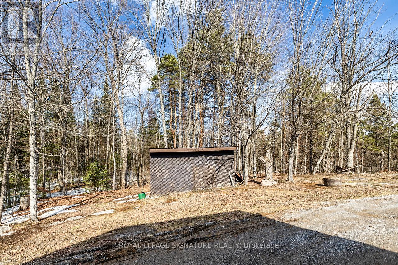 1928 Irondale Road, Highlands East, Ontario  K0M 1X0 - Photo 45 - X12981306