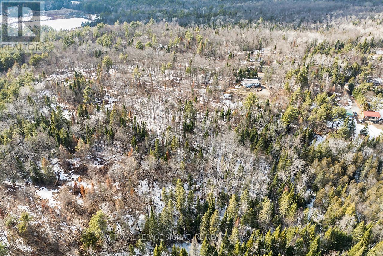 1928 Irondale Road, Highlands East, Ontario  K0M 1X0 - Photo 48 - X12981306