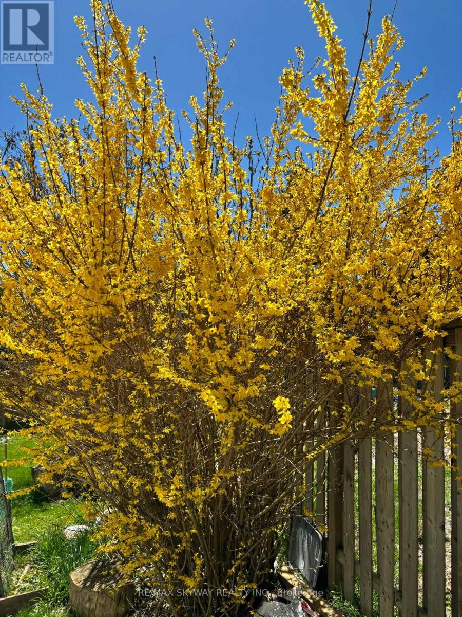 282b Brock Street W, Uxbridge, Ontario  L9P 1G1 - Photo 31 - N12979352