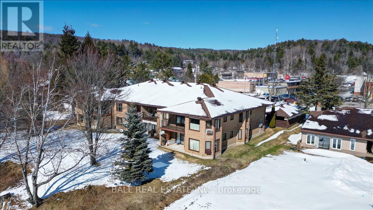 203 - 16 Alice Street, Bancroft, Ontario  K0L 1C0 - Photo 3 - X12981856