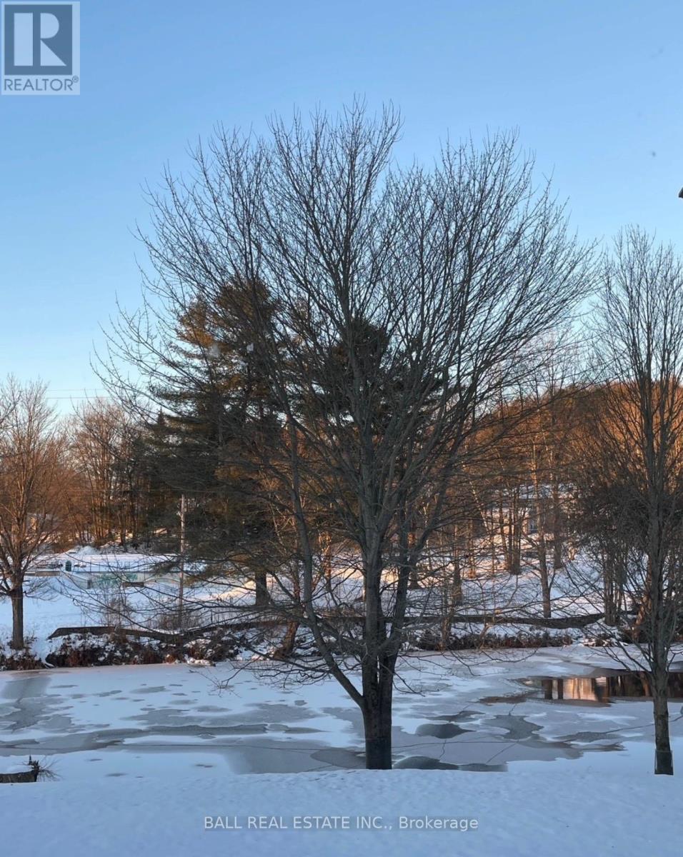 203 - 16 Alice Street, Bancroft, Ontario  K0L 1C0 - Photo 42 - X12981856