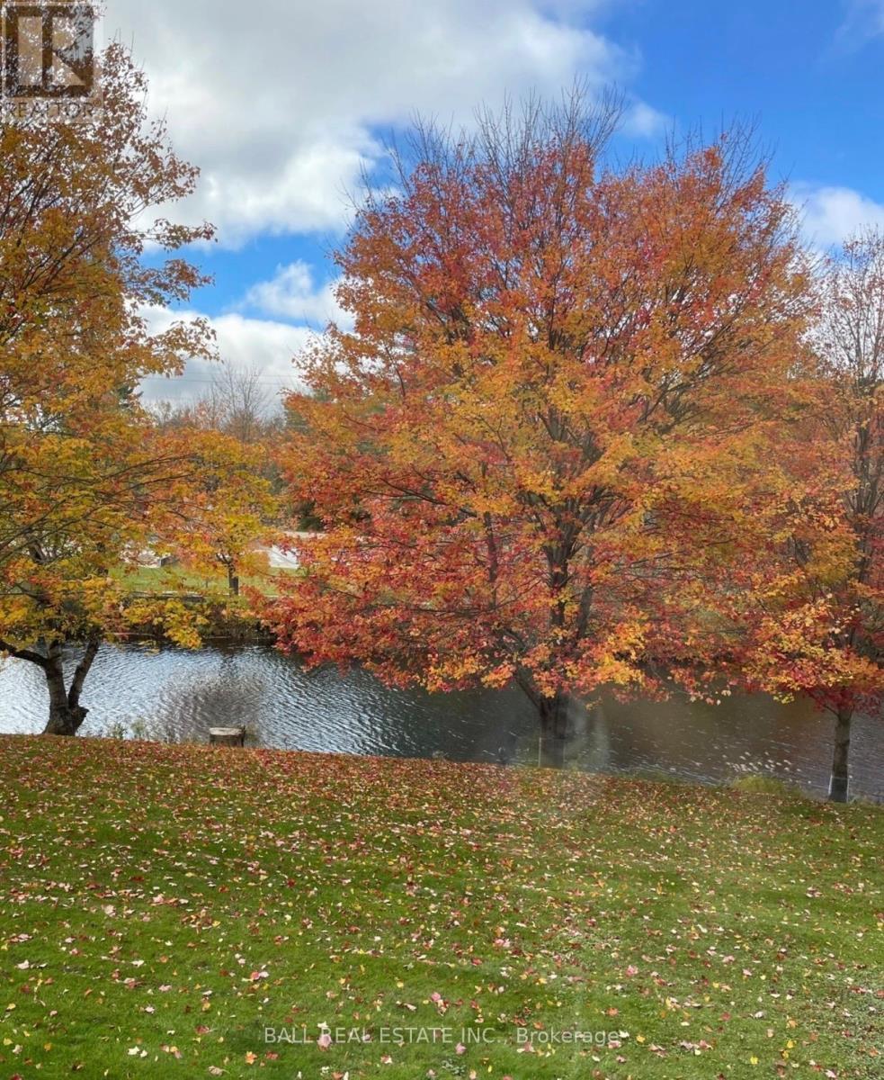 203 - 16 Alice Street, Bancroft, Ontario  K0L 1C0 - Photo 44 - X12981856