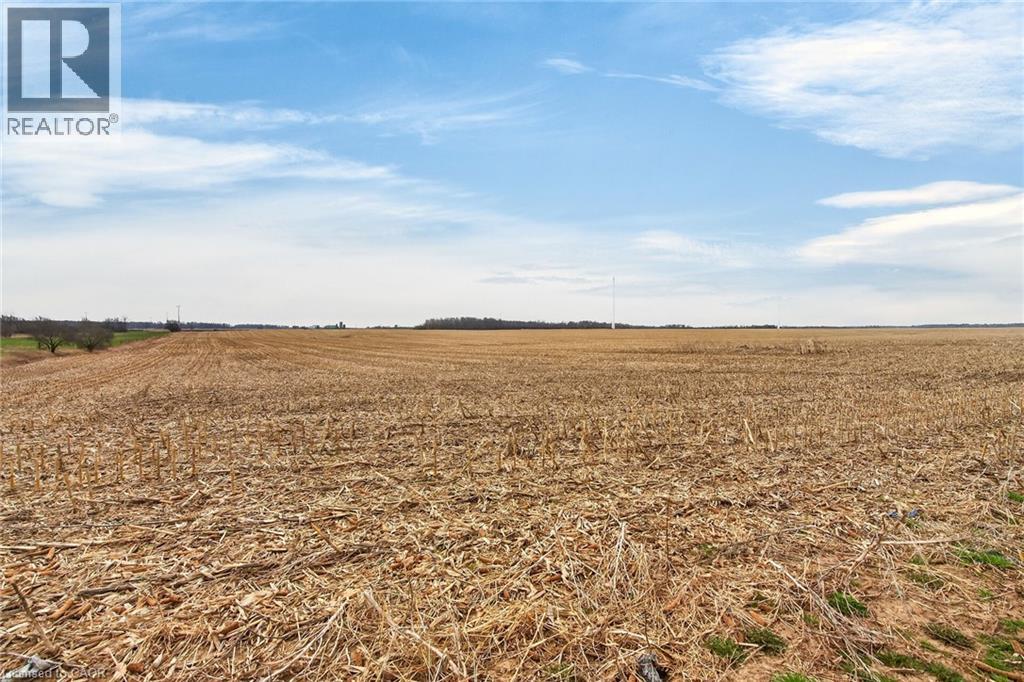 350 Concession 6 Walpole, Jarvis, Ontario  N0A 1J0 - Photo 40 - 40817734