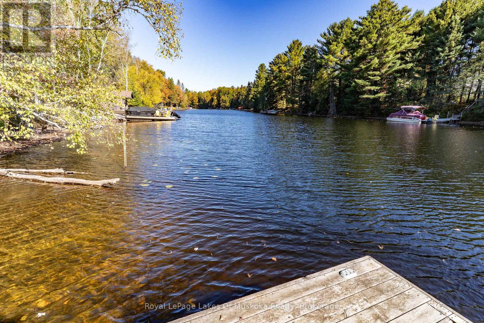 265 Chub Lake Road, Huntsville, Ontario  P1H 1S4 - Photo 28 - X12981874