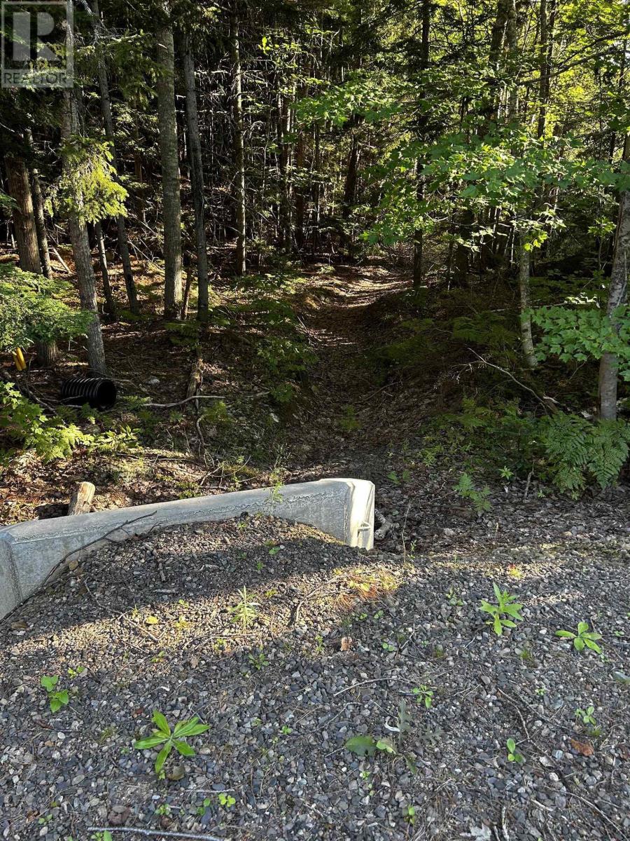 Unit 3 Forsythe Road South Road, White Rock, Nova Scotia  B4P 2R2 - Photo 3 - 202502883