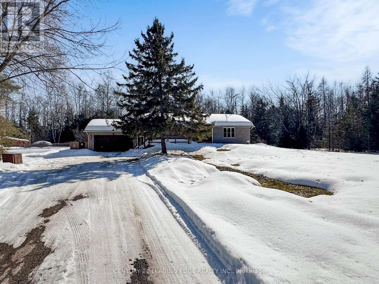 3525 Pollock Road E, Georgina, Ontario  L4P 0P6 - Photo 4 - N12849832
