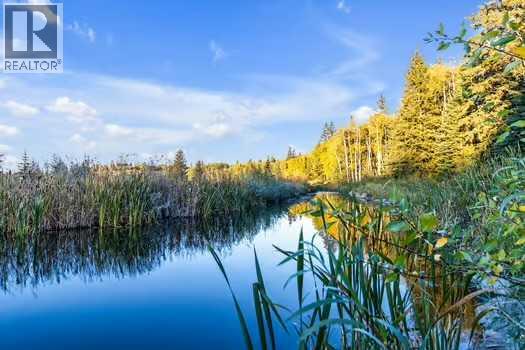 41 Evergreen Mount Sw, Calgary, Alberta  T2Y 0K1 - Photo 47 - A2280502