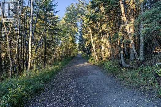 41 Evergreen Mount Sw, Calgary, Alberta  T2Y 0K1 - Photo 49 - A2280502