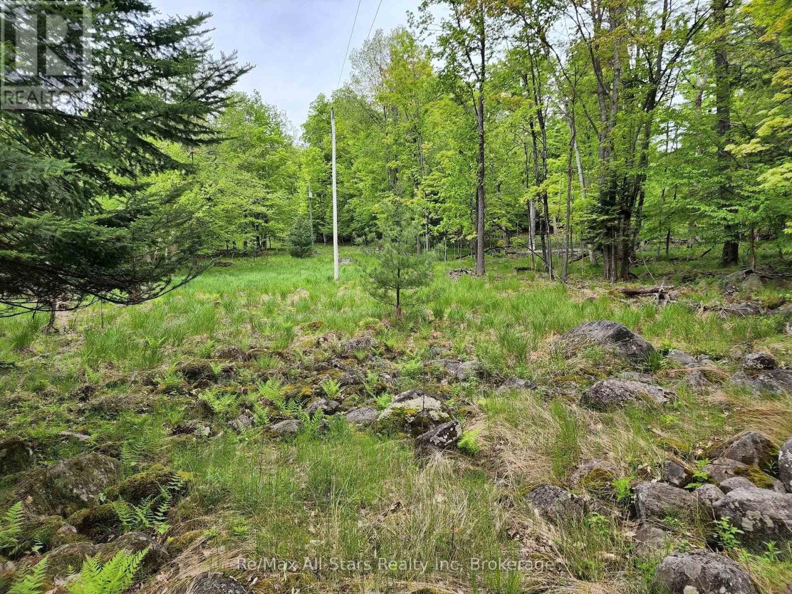 504 Bigwin Island, Lake Of Bays, Ontario  P0A 1H0 - Photo 10 - X12982010