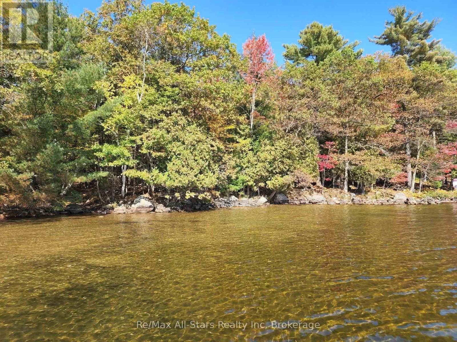 504 Bigwin Island, Lake Of Bays, Ontario  P0A 1H0 - Photo 4 - X12982010
