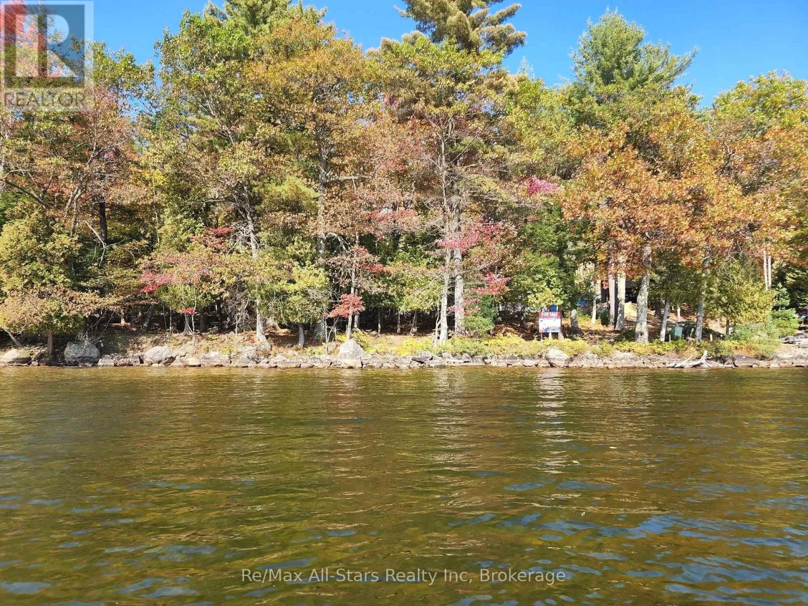 504 Bigwin Island, Lake Of Bays, Ontario  P0A 1H0 - Photo 5 - X12982010