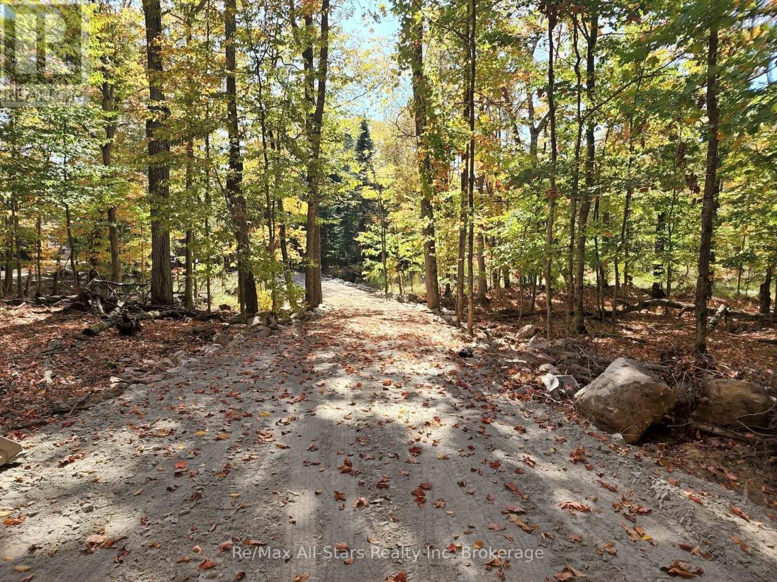504 Bigwin Island, Lake Of Bays, Ontario  P0A 1H0 - Photo 6 - X12982010