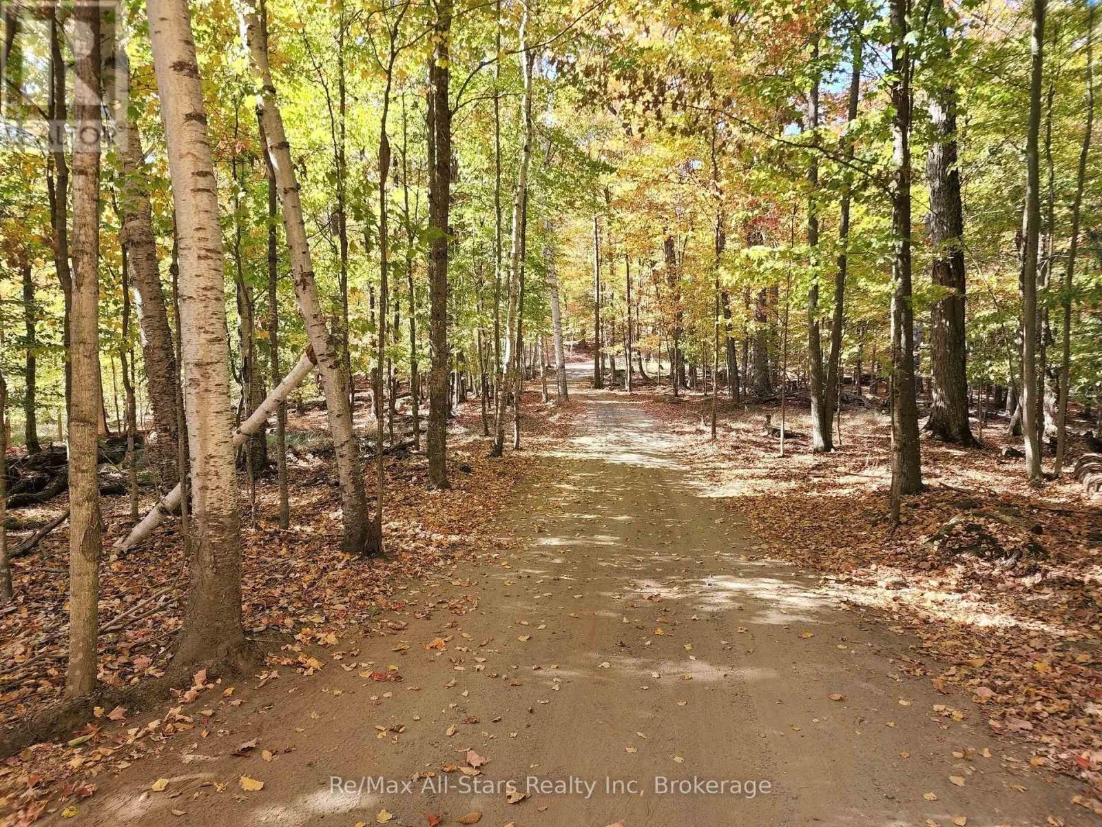 504 Bigwin Island, Lake Of Bays, Ontario  P0A 1H0 - Photo 7 - X12982010