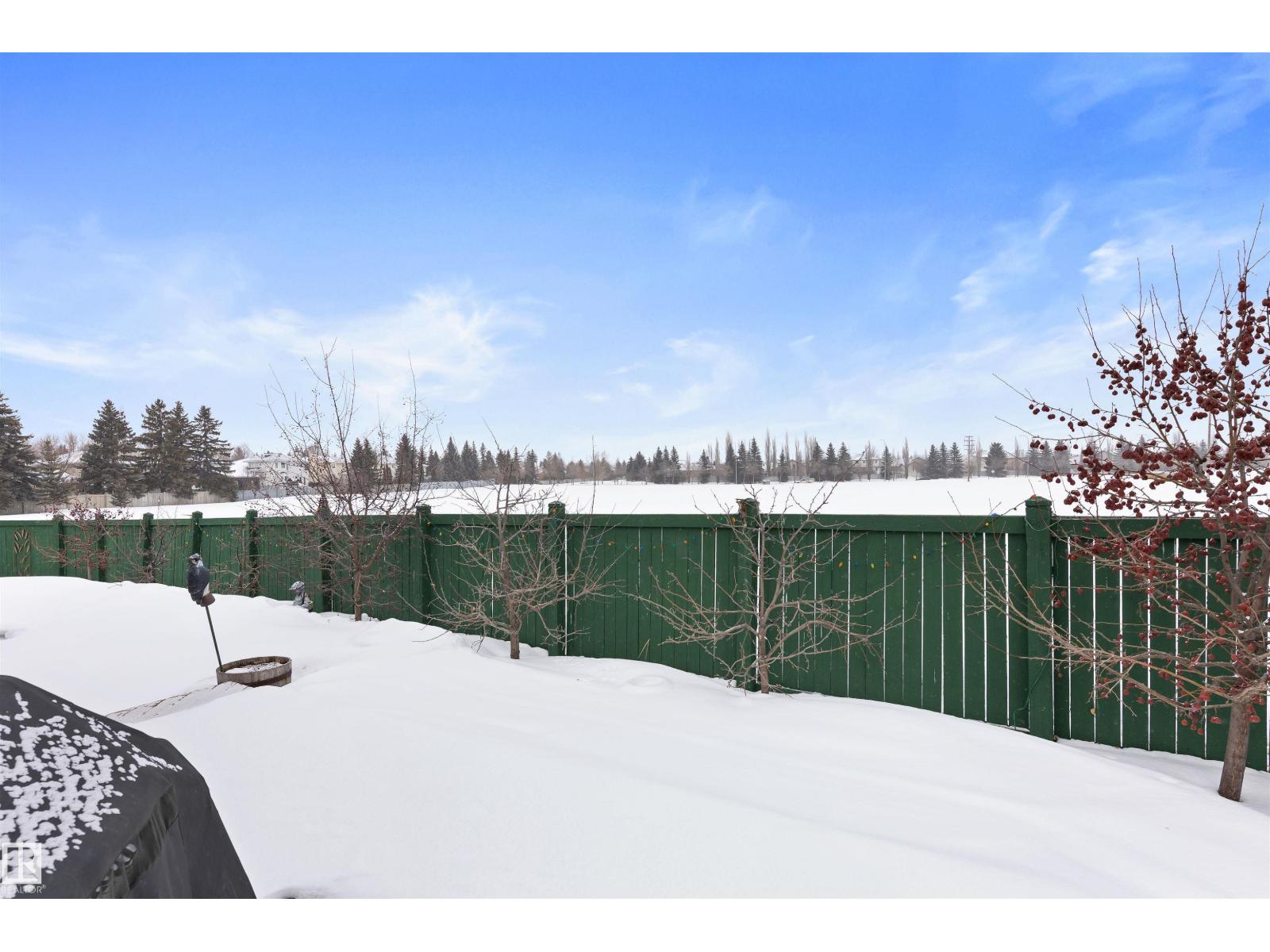 4 Placer Cl, St. Albert, Alberta  T8N 6A2 - Photo 42 - E4481263
