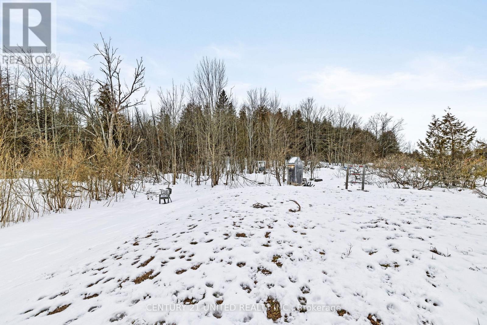 2234 Mccrackens Landing Road, Douro-Dummer, Ontario K0L 2H0 - Photo 5 - X12982014