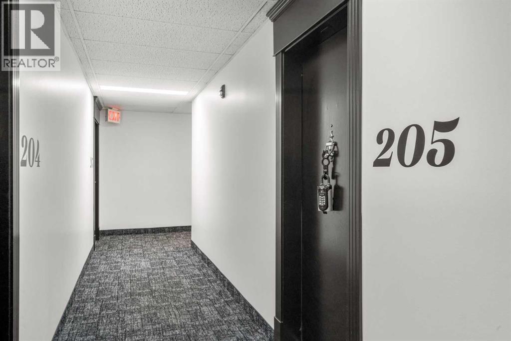 205, 545 18 Avenue Sw, Calgary, Alberta  T2S 0C6 - Photo 31 - A2299578