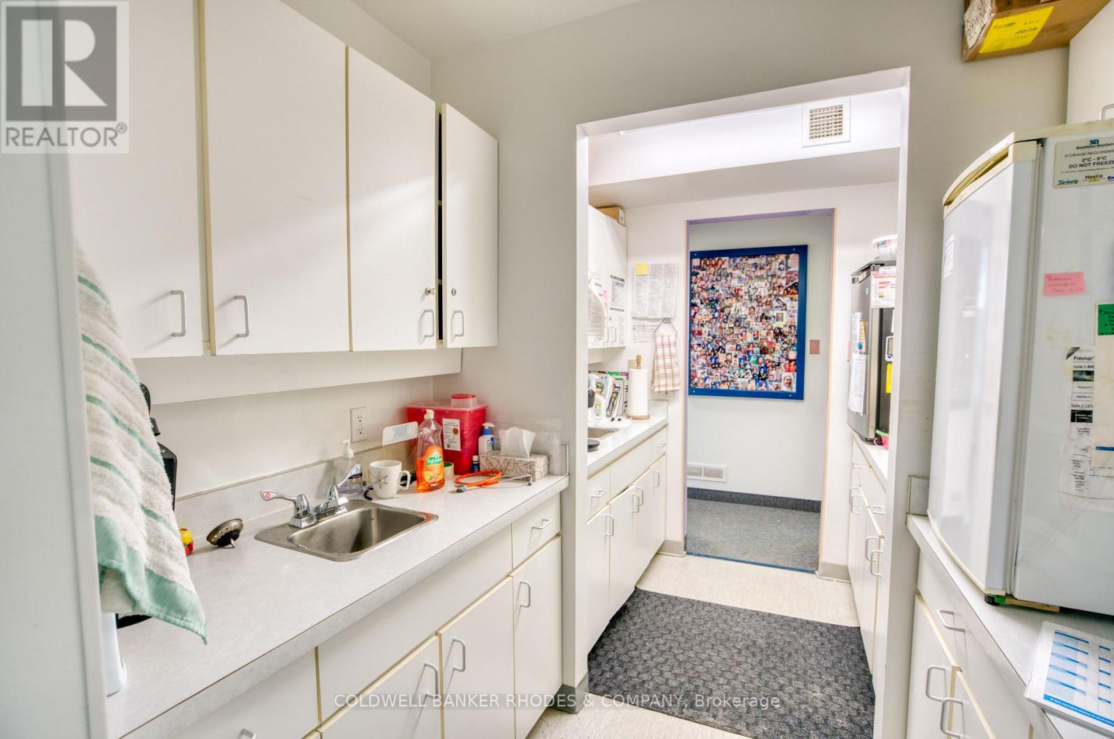 505 O'connor Street, Ottawa, Ontario  K1S 1Y8 - Photo 5 - X12931186