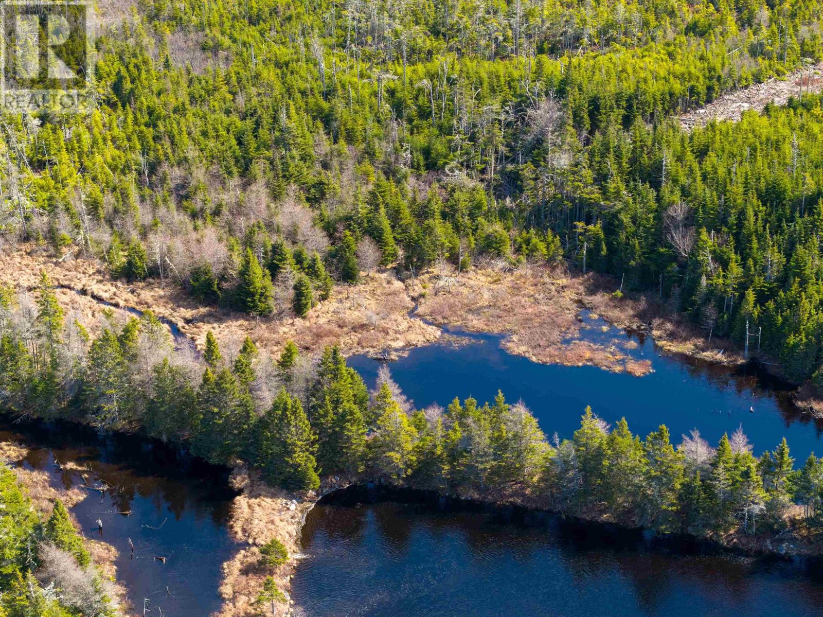 Lot 19 Lipkudamoonk Path, Clam Bay, Nova Scotia  B0J 1Y0 - Photo 25 - 202601983