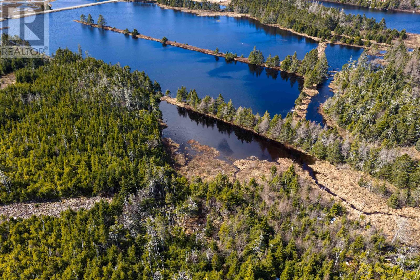 Lot 19 Lipkudamoonk Path, Clam Bay, Nova Scotia  B0J 1Y0 - Photo 22 - 202601983